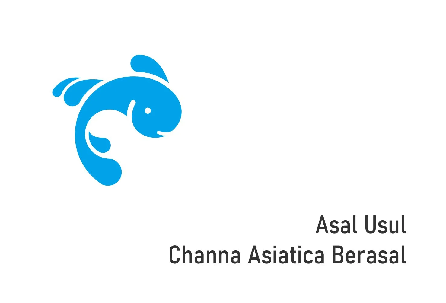 Channa Asiatica Berasal Dari