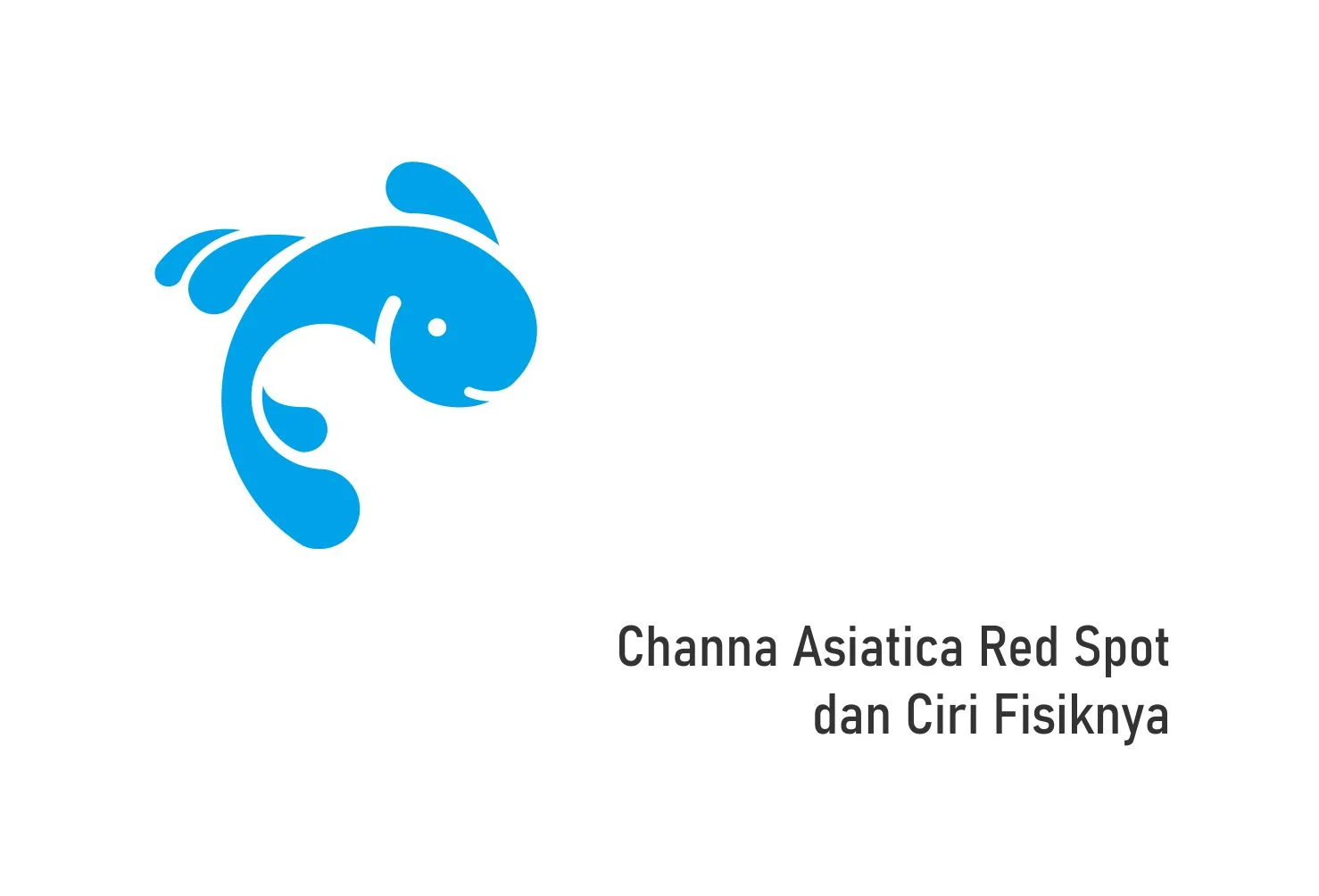 Channa Asiatica Red Spot