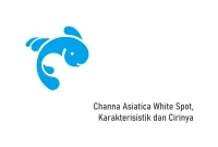 Channa Asiatica White Spot